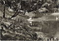Schwanenweiher im Stadtpark. Historische Postkarte <span class="smw-highlighter" data-type="8" data-state="inline" data-title="Hinweis" title="Urheber: Fritz Lauterbach AnsichtskartenverlagLizenz: CC BY-SA 3.0"><span class="smwtticon note"></span><span class="smwttcontent">Urheber: Fritz Lauterbach Ansichtskartenverlag<br>Lizenz: CC BY-SA 3.0</span></span>