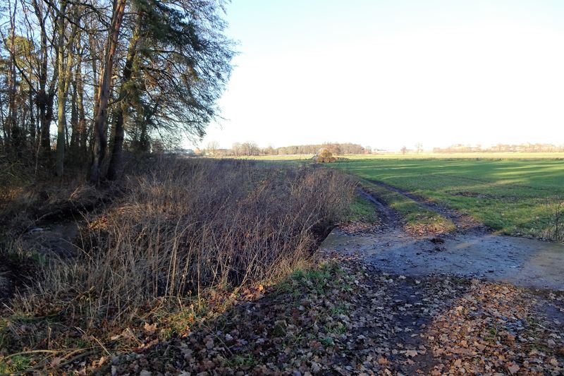 Datei:Stadelner Hard 3 2020.JPG