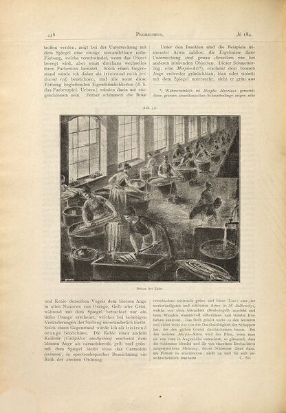 Datei:Ullmann 1893 4.jpg