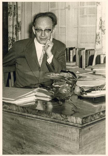 Datei:Kaltenhäuser Archiv 23.jpg