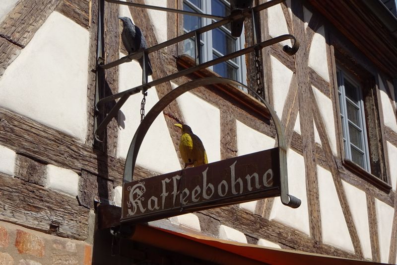 Datei:Ausleger Kaffeebohne.jpg