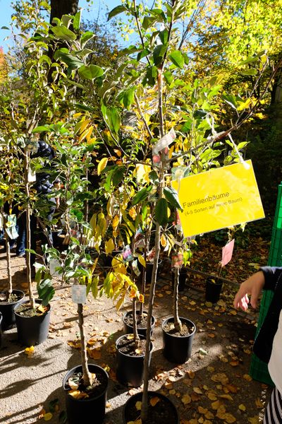 Datei:Apfelmarkt 2017 21.jpg