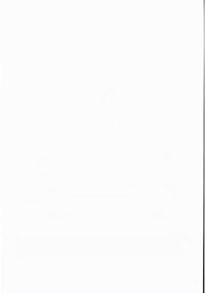 Datei:Altstadtblaeddla 042 2008.pdf