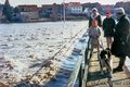 Hochwasser bei Mannhof, der alte Fußgängersteg nach Vach gerade noch passierbar, etwa 1970 ... <span class="smw-highlighter" data-type="8" data-state="inline" data-title="Hinweis" title="Hochwasser bei Mannhof, der alte Fußgängersteg nach Vach gerade noch passierbar, etwa 1970 (unsicher)Urheber: Georg MehlLizenz: CC BY-SA 3.0"><span class="smwtticon note"></span><span class="smwttcontent">Hochwasser bei Mannhof, der alte Fußgängersteg nach Vach gerade noch passierbar, etwa 1970 (unsicher)<br>Urheber: <!--LINK'" 0:415--><br><br>Lizenz: CC BY-SA 3.0</span></span>