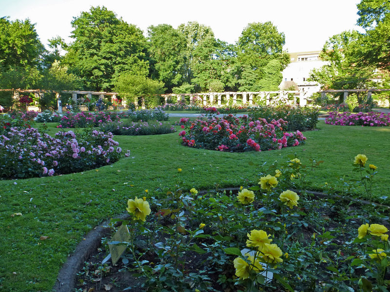 Datei:Stadtpark - Rosengarten.jpg