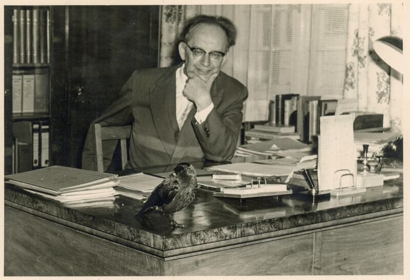 Datei:Kaltenhäuser Archiv 21.jpg