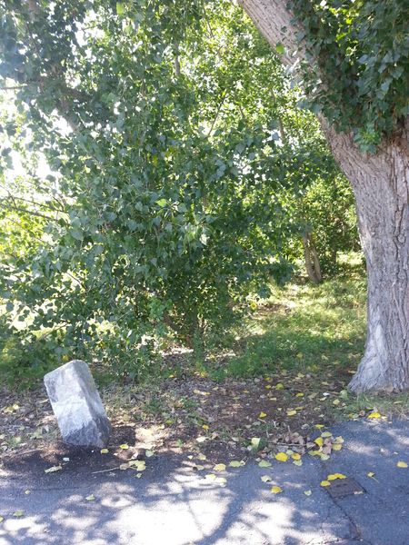 Datei:Höfener Spange 14.jpg