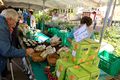Fürther Apfelmarkt im Stadtpark, 2017 <span class="smw-highlighter" data-type="8" data-state="inline" data-title="Hinweis" title="Urheber: Kamran SalimiLizenz: CC BY-SA 3.0"><span class="smwtticon note"></span><span class="smwttcontent">Urheber: <!--LINK'" 0:12--><br><br>Lizenz: CC BY-SA 3.0</span></span>