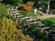 Rosengarten Pergola.jpg