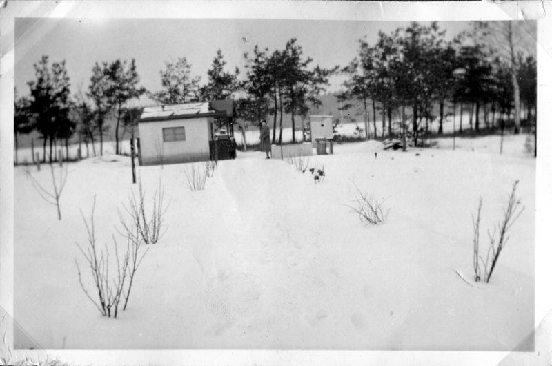 Datei:Stadelner Hard.jpeg