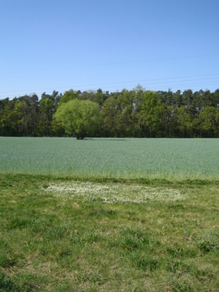 Datei:Stadelner Hard Flur.jpg