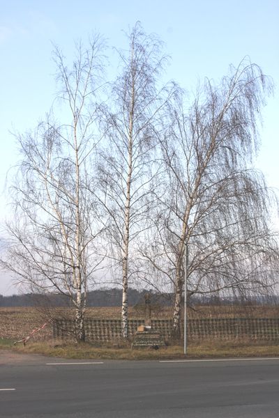 Datei:Kreuz Mainstr (1).JPG