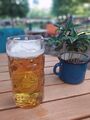 Fassbier im <a class="mw-selflink selflink">Milchhäusle</a>, Mai 2022 <span class="smw-highlighter" data-type="8" data-state="inline" data-title="Hinweis" title="Urheber: Betz-von-ronhofLizenz: CC BY-SA 3.0"><span class="smwtticon note"></span><span class="smwttcontent">Urheber: Betz-von-ronhof<br><br>Lizenz: CC BY-SA 3.0</span></span>