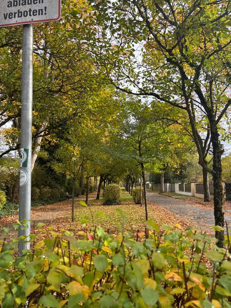 Datei:Bismarkstraße Nov 2025.jpeg