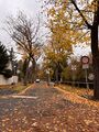 Die Bismarckstraße von der Parkstraße aus, Blick Richtung Westen, Okt 2025 <span class="smw-highlighter" data-type="8" data-state="inline" data-title="Hinweis" title="Urheber: Maja PförtnerLizenz: CC BY-SA 4.0"><span class="smwtticon note"></span><span class="smwttcontent">Urheber: Maja Pförtner<br><br>Lizenz: CC BY-SA 4.0</span></span>