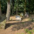 Alter Jüdischer Friedhof im September 2024 <span class="smw-highlighter" data-type="8" data-state="inline" data-title="Hinweis" title="Urheber: Claus W. VoglLizenz: CC BY-SA 4.0"><span class="smwtticon note"></span><span class="smwttcontent">Urheber: <!--LINK'" 0:310--><br><br>Lizenz: CC BY-SA 4.0</span></span>