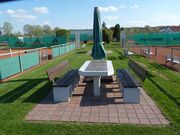 2017 TSV Tennis 7.JPG