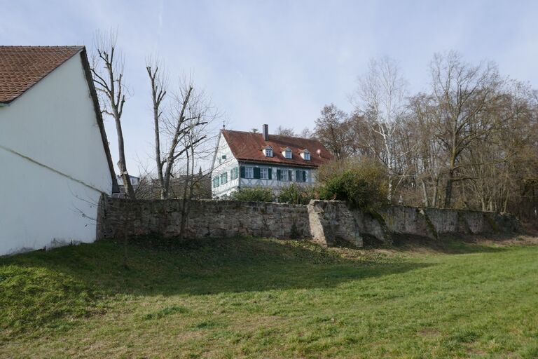 Vach Burgstall 02 2020 6.JPG