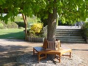 2017 TSV Tennis 8.JPG