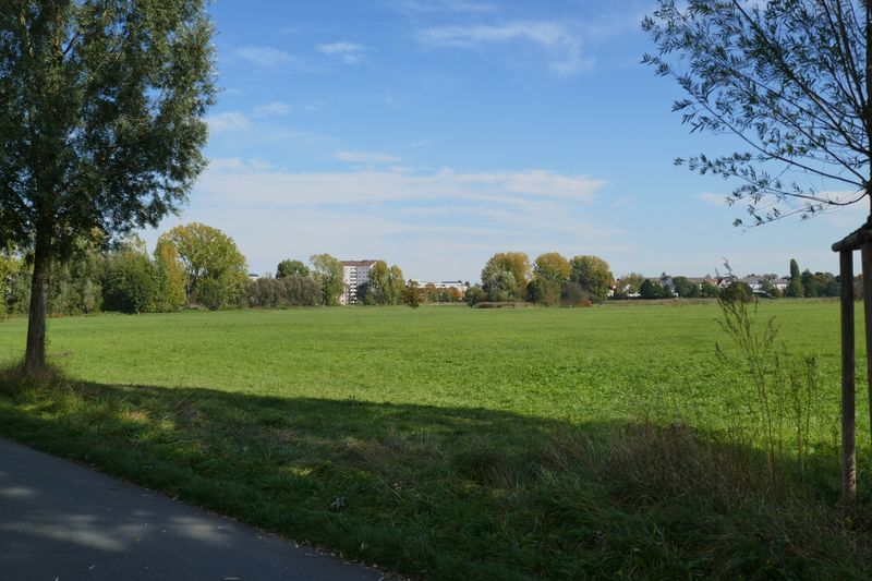 Datei:Wiesengrund Espan 10 2019.JPG