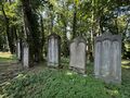 Alter Jüdischer Friedhof im September 2024 <span class="smw-highlighter" data-type="8" data-state="inline" data-title="Hinweis" title="Urheber: Claus W. VoglLizenz: CC BY-SA 4.0"><span class="smwtticon note"></span><span class="smwttcontent">Urheber: <!--LINK'" 0:314--><br><br>Lizenz: CC BY-SA 4.0</span></span>