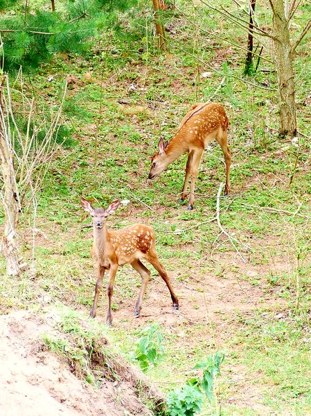 Datei:20190609 174256.jpg