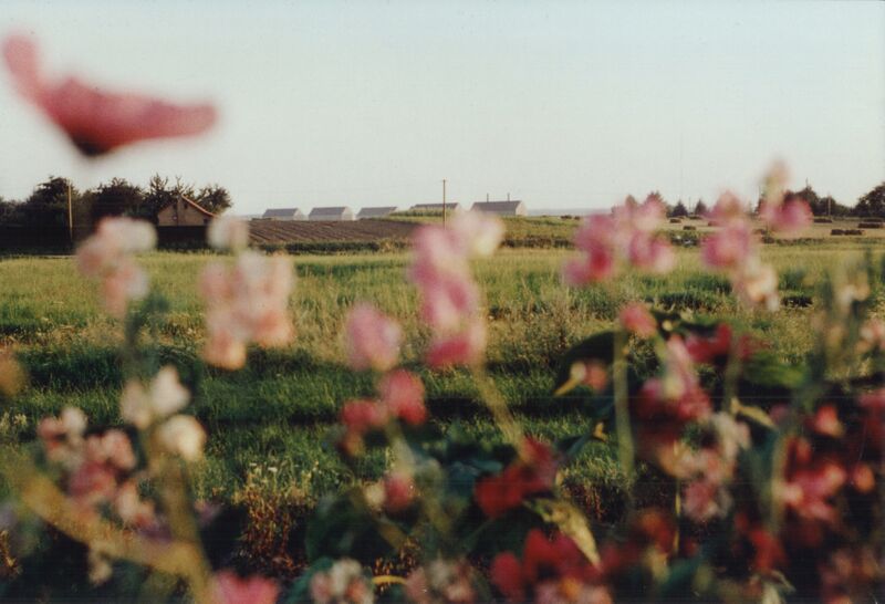 Datei:Lotharstraße III.jpg