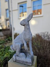 20260115 Rosen- 14 Hase.jpg