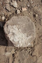 Herrensitz Bislohe 2.JPG