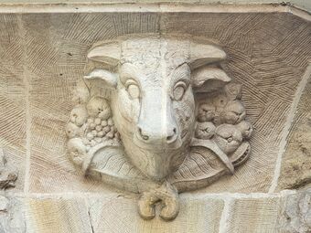 20260227 Theresien- 42 Stier.jpg