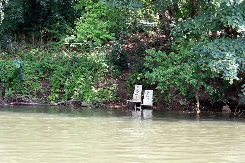 Datei:Regnitz Juli 2020.jpg