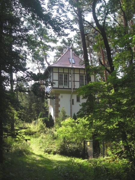 Datei:Stadtwald III.jpg