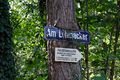 Am Lehmacker, mit Hinweisschild zum Felsenkeller im Stadtwald, Aug. 2020 <span class="smw-highlighter" data-type="8" data-state="inline" data-title="Hinweis" title="Urheber: Kamran SalimiLizenz: CC BY-SA 3.0"><span class="smwtticon note"></span><span class="smwttcontent">Urheber: <!--LINK'" 0:100--><br><br>Lizenz: CC BY-SA 3.0</span></span>