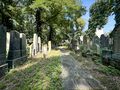 Alter Jüdischer Friedhof im September 2024 <span class="smw-highlighter" data-type="8" data-state="inline" data-title="Hinweis" title="Urheber: Claus W. VoglLizenz: CC BY-SA 4.0"><span class="smwtticon note"></span><span class="smwttcontent">Urheber: <!--LINK'" 0:328--><br><br>Lizenz: CC BY-SA 4.0</span></span>
