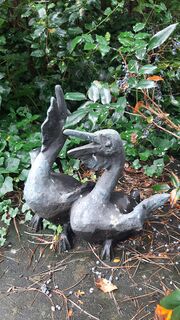 Kunstmann Pelikanjunge I.jpg