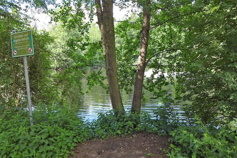 Datei:Praterweiher 2020.jpg