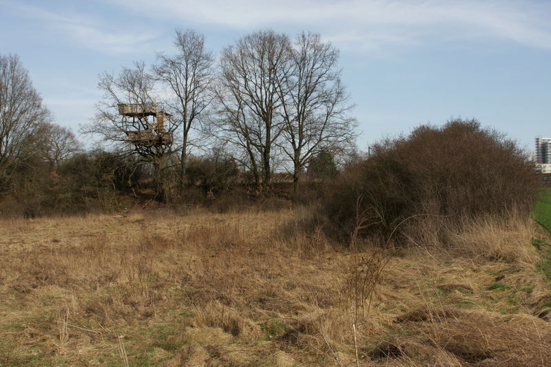 Datei:Wildnis am Farrnbach.JPG